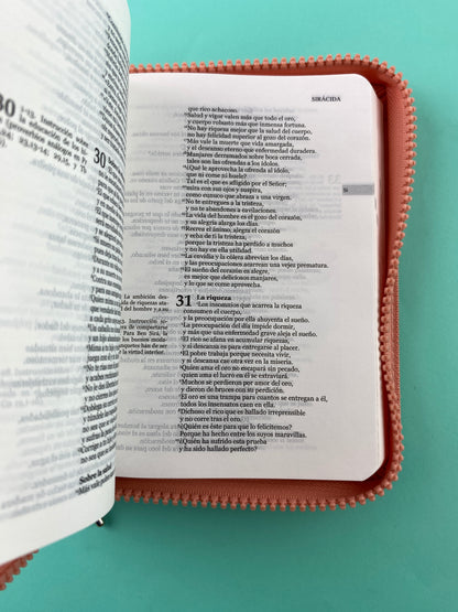 Biblia una historia de amor hormiguitas salmón by Nuestra sagrada biblia