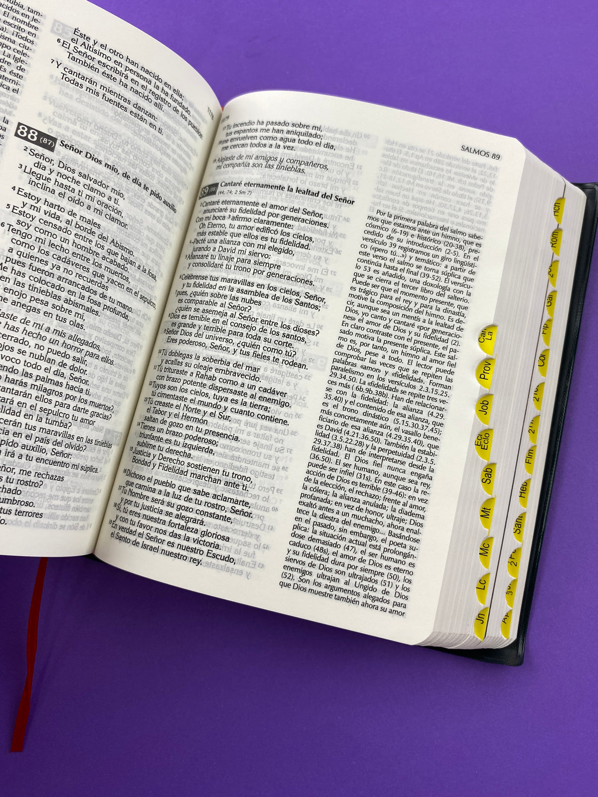 Biblia de nuestro pueblo bolsillo tapa flexible by Luis Alonso Schokel