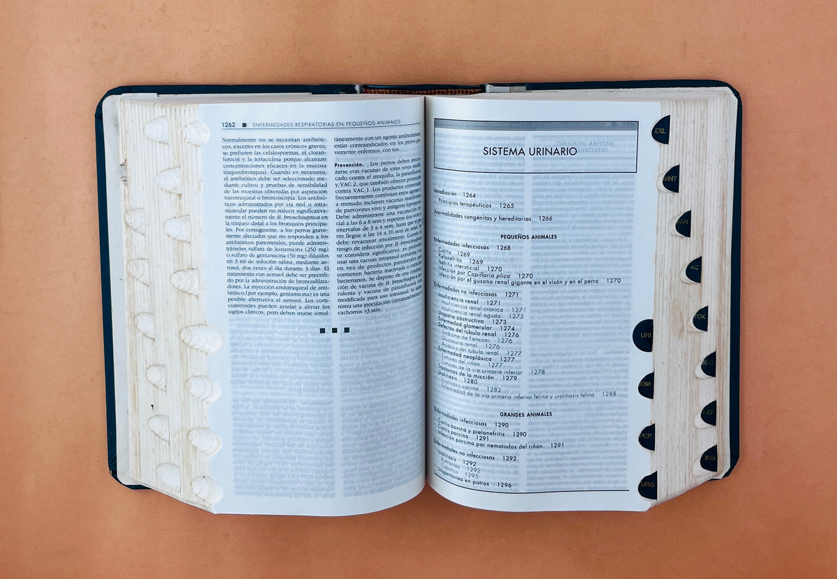 El manual merck de veterinaria quinta edición by Alfonso Martínez