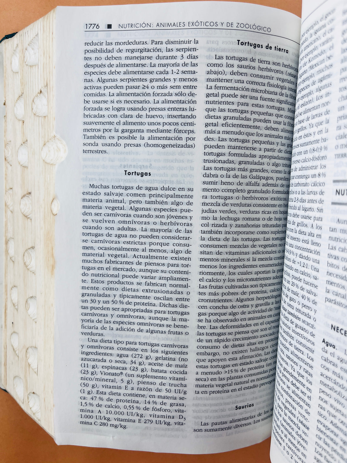 El manual merck de veterinaria quinta edición by Alfonso Martínez