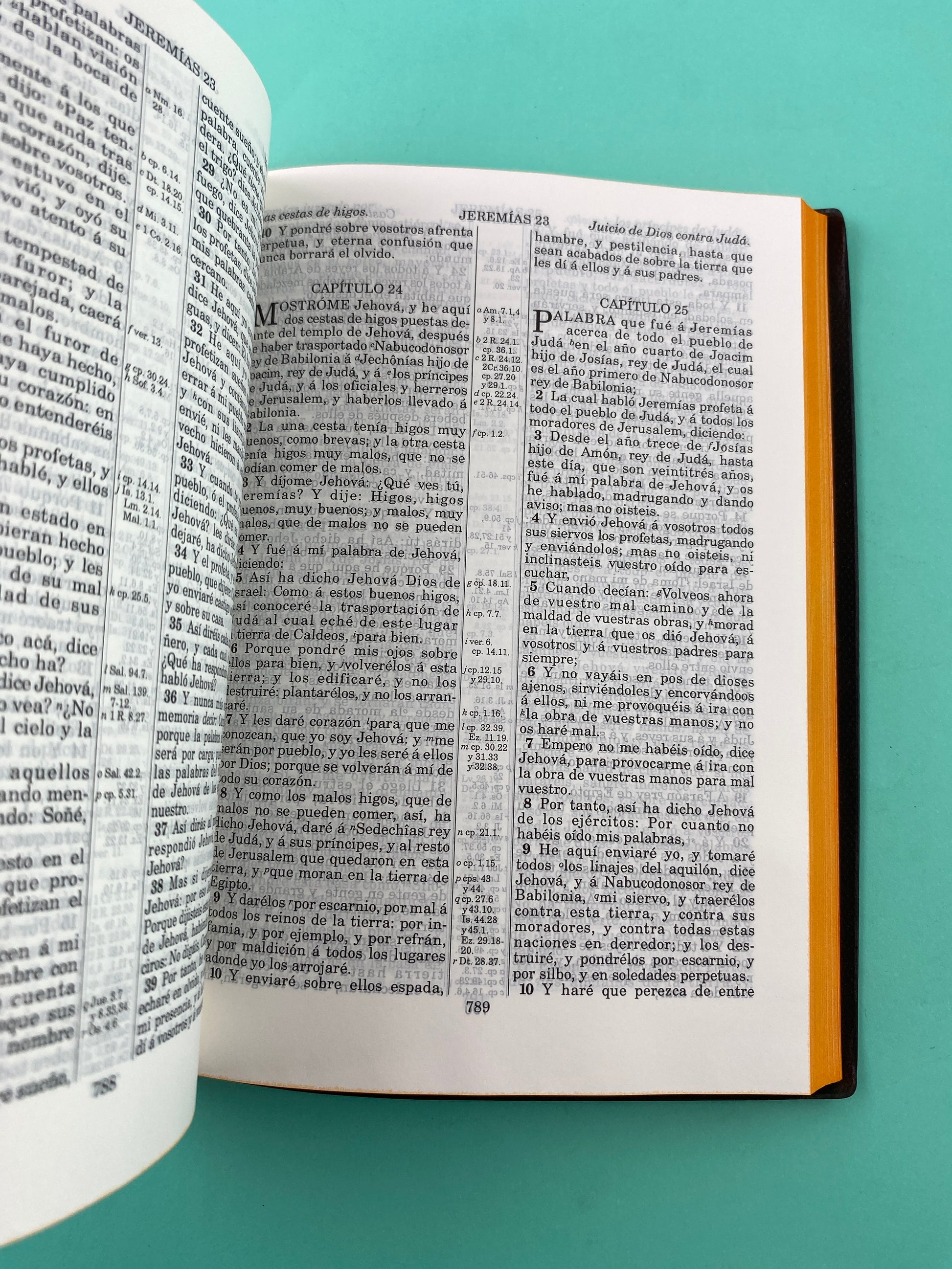 Biblia rvr 1909 Vinotinto tapa percalina by Reina Valera 1909