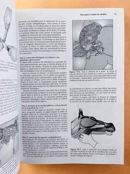 Terapéutica Actual en Medicina Equina 2 volúmenes sexta edición