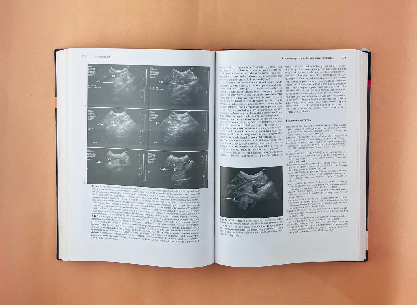 Terapéutica Actual en Medicina Equina 2 volúmenes sexta edición