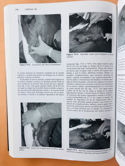 Terapéutica Actual en Medicina Equina 2 volúmenes sexta edición