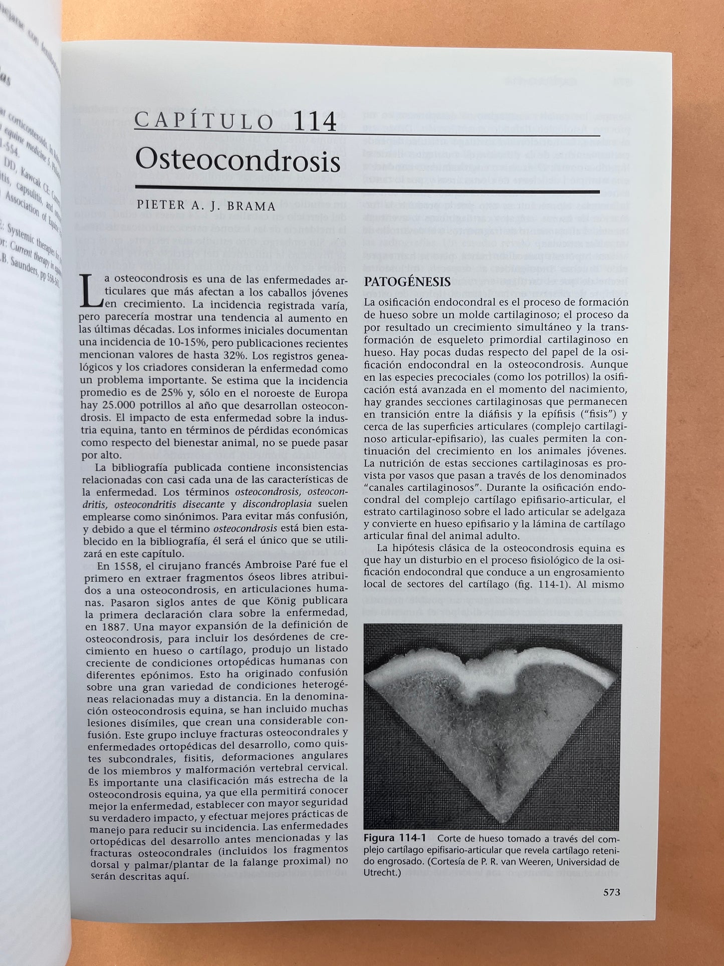 Terapéutica Actual en Medicina Equina 2 volúmenes sexta edición