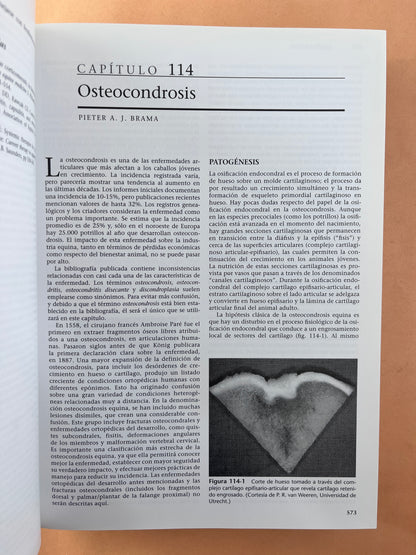 Terapéutica Actual en Medicina Equina 2 volúmenes sexta edición