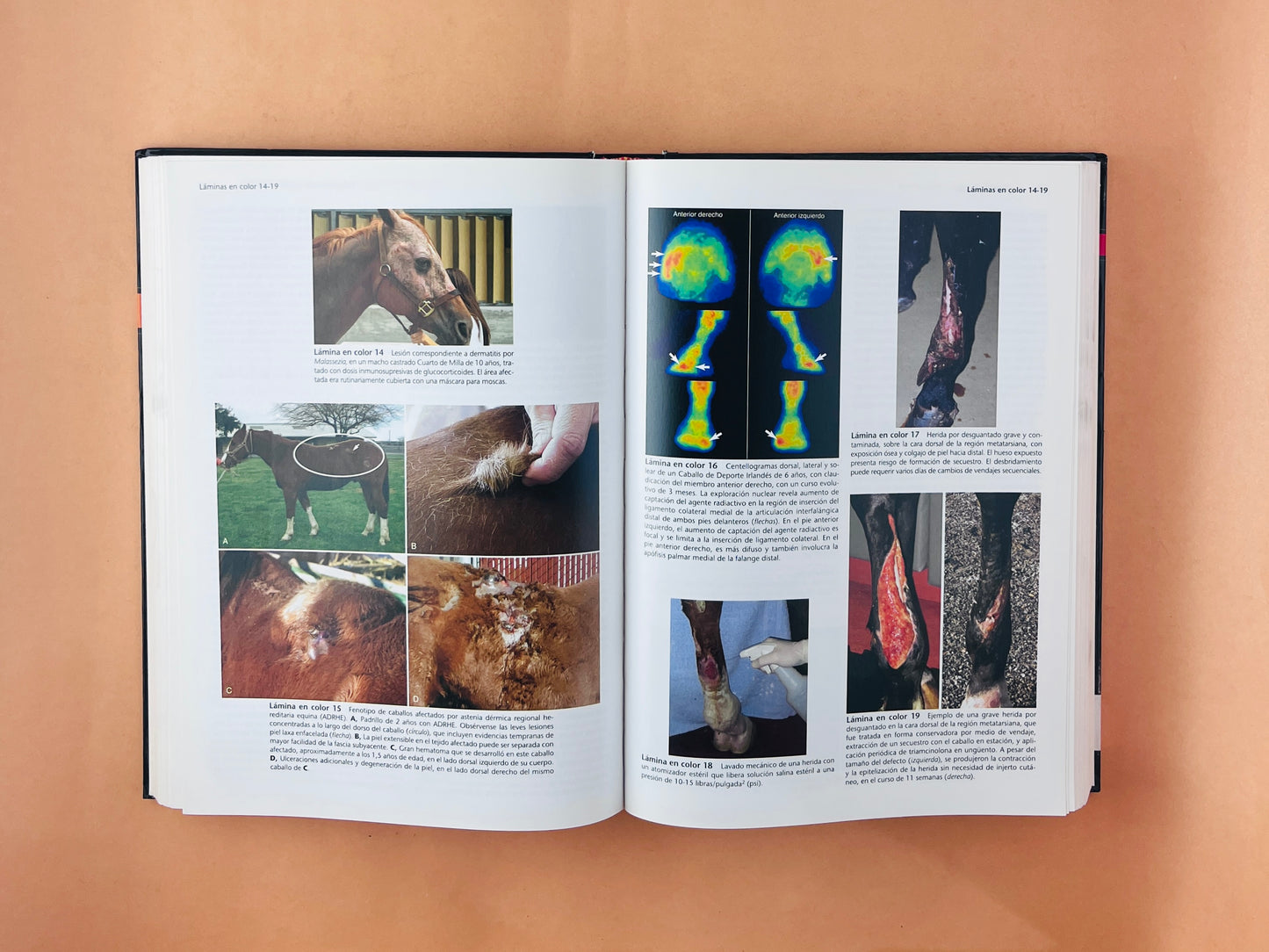 Terapéutica Actual en Medicina Equina 2 volúmenes sexta edición