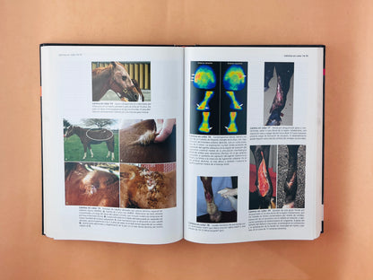 Terapéutica Actual en Medicina Equina 2 volúmenes sexta edición