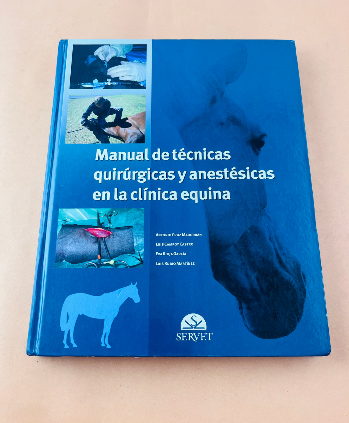 Manual de técnicas quirúrgicas y anestésicas en la clínica equina by Antoni Cruz MAadorrán Luis Campoy Castro Eva Rioja García Luis Rubio Martínez