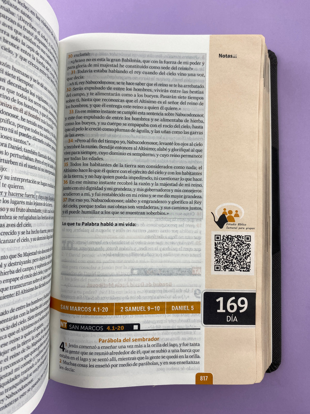 Biblia encuentro diario con Dios gris QR - RVC by Reina Valera contemporánea