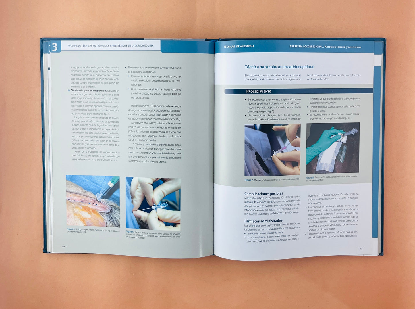 Manual de técnicas quirúrgicas y anestésicas en la clínica equina
