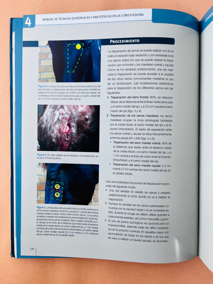 Manual de técnicas quirúrgicas y anestésicas en la clínica equina