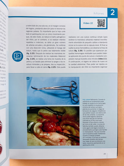 Cirugía Urología del perro y el gato