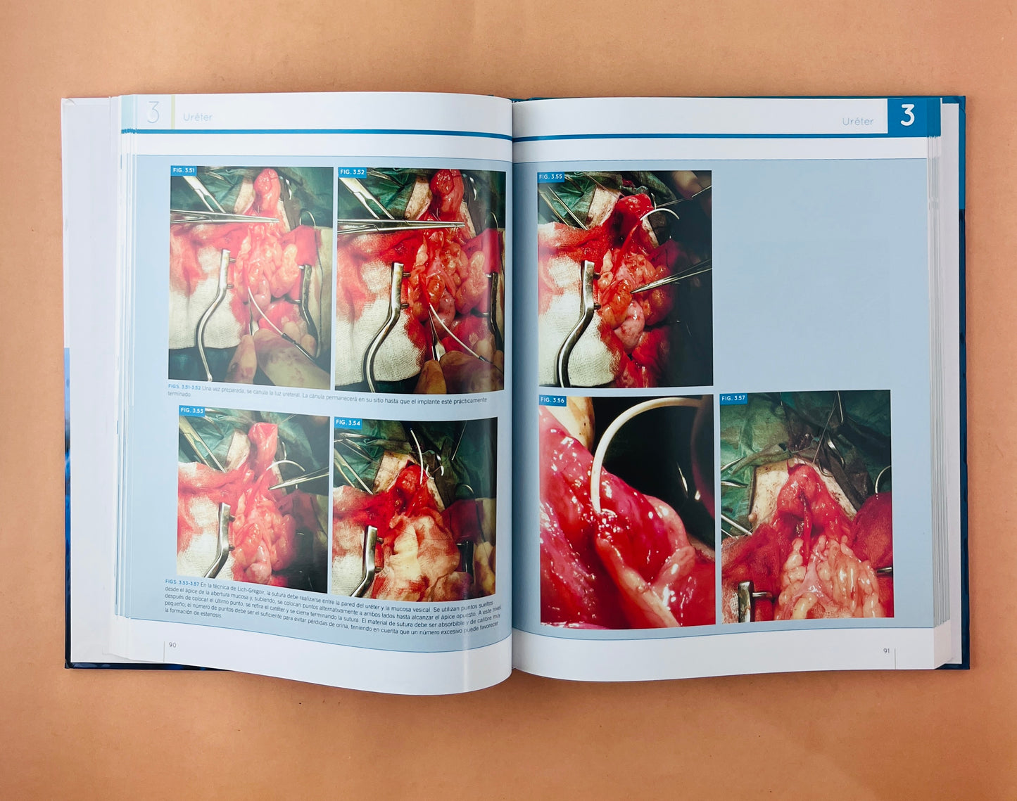 Cirugía Urología del perro y el gato