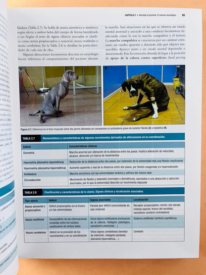 Neurología canina y felina