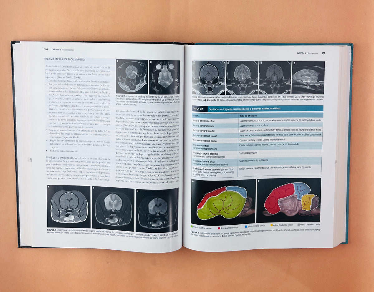 Neurología canina y felina by Vicente Aige Francisco Llabrés Mrco Bernardini Valentina Lorenzo Sergi Ródenas Lluis Gaitero Alejandro Luján