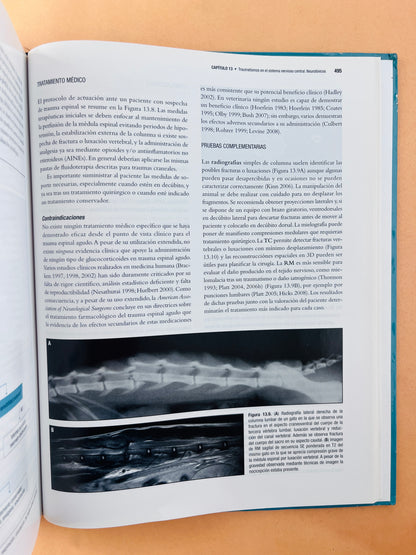 Neurología canina y felina