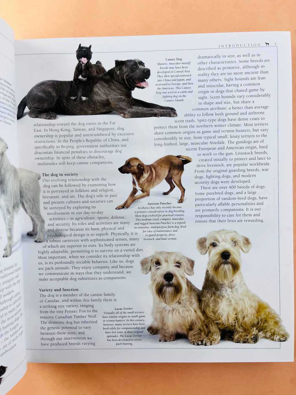The encyclopedia of the dog by Bruce Fogle
