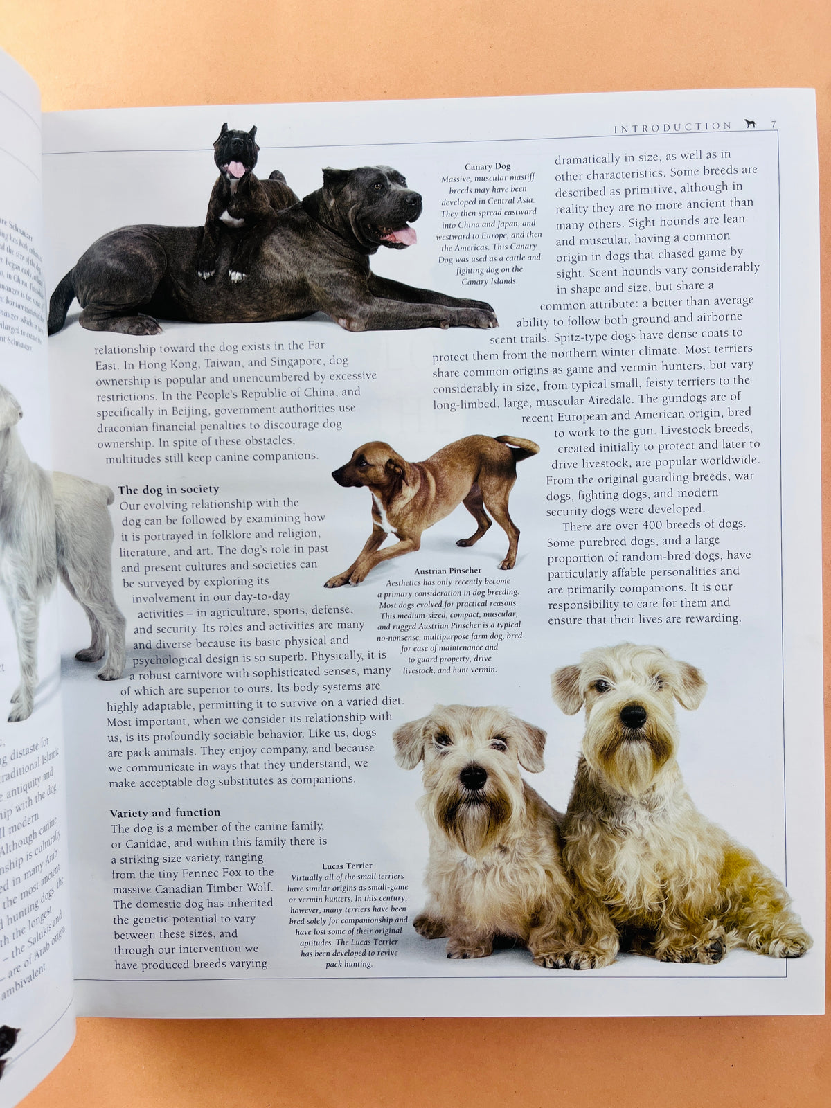 The encyclopedia of the dog by Bruce Fogle