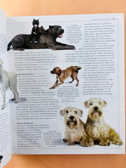 The encyclopedia of the dog