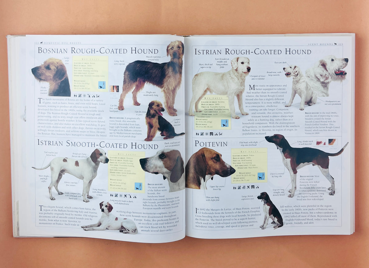 The encyclopedia of the dog by Bruce Fogle