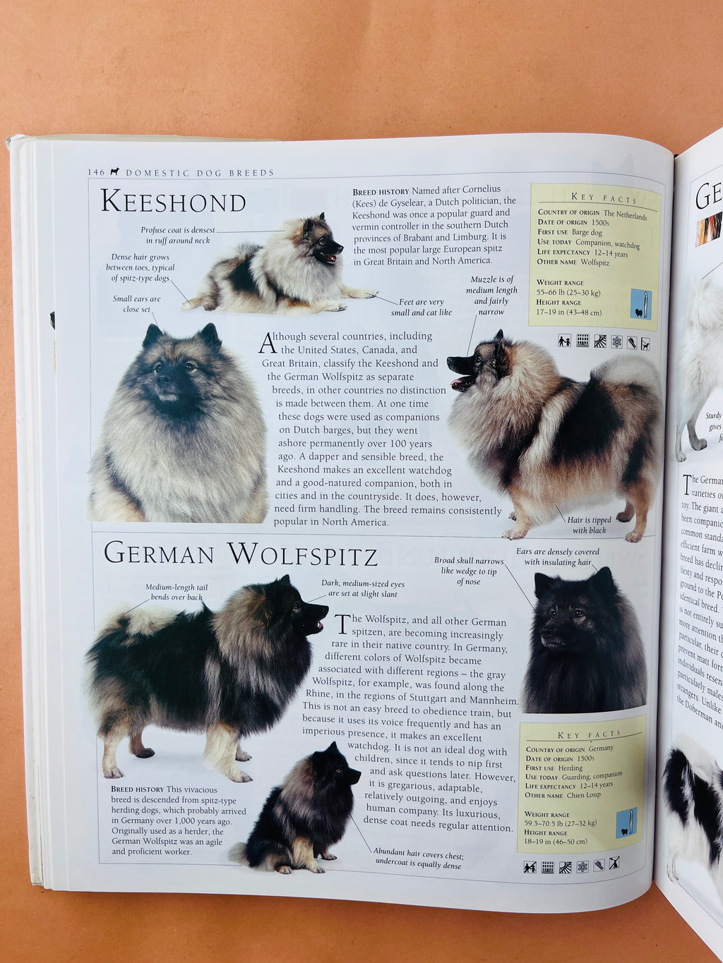The encyclopedia of the dog by Bruce Fogle