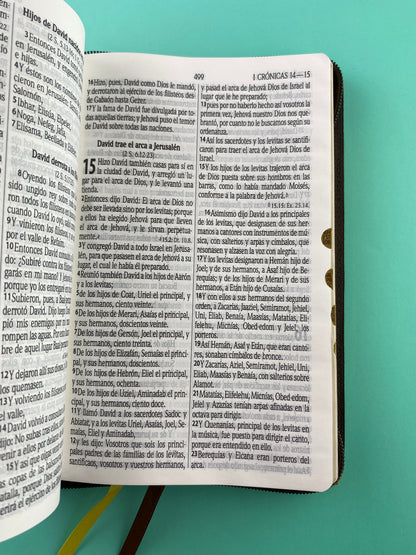 Biblia rvr 1960 letra grande león dorada con índice by Reina Valera 1960