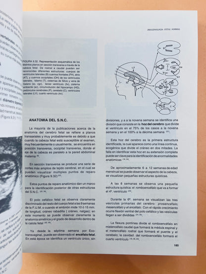 Obstetricia de alto riesgo cuarta edición