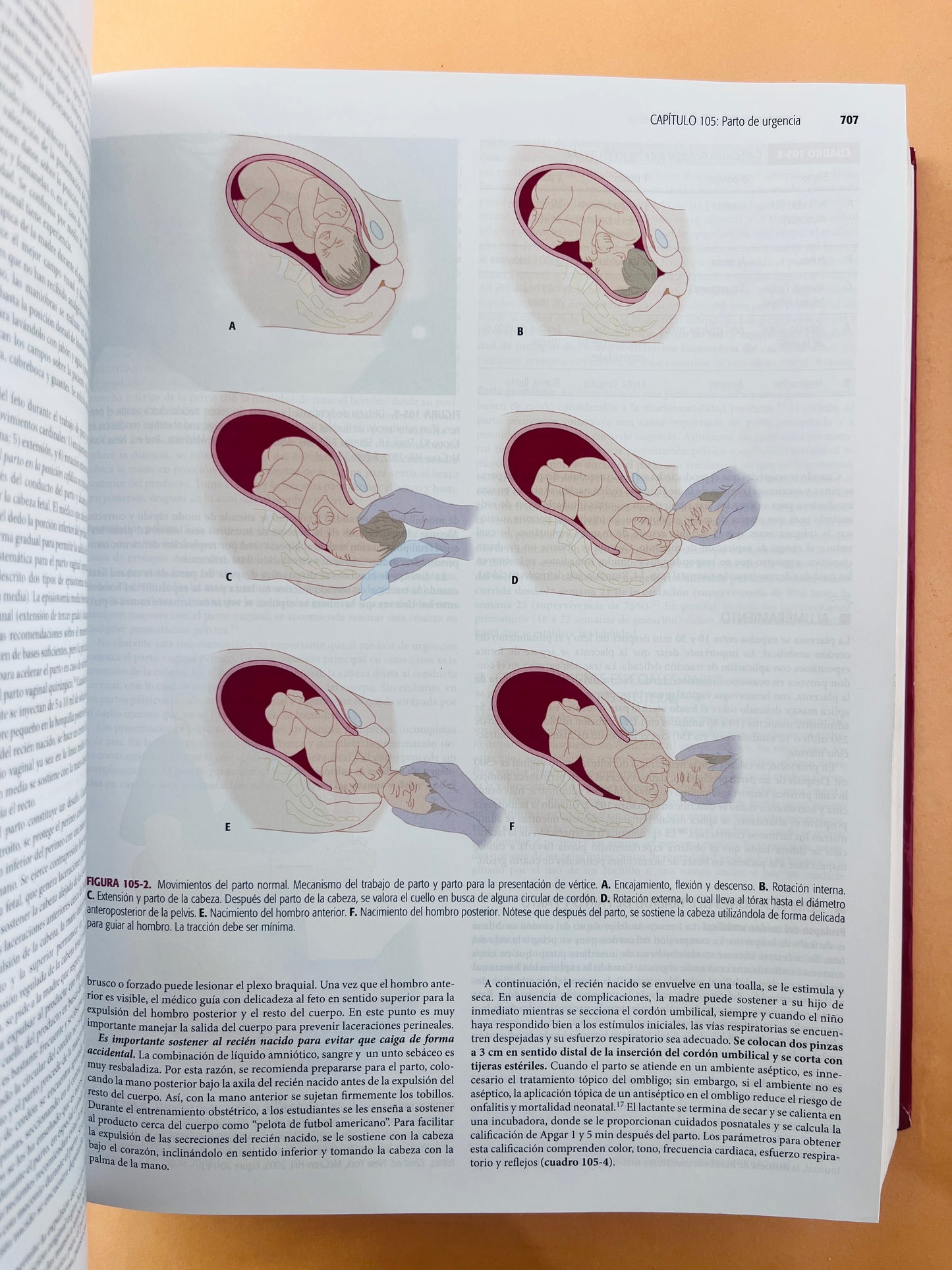 Tintinalli Medicina de urgencias séptima edición