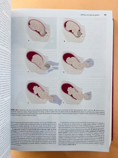 Tintinalli Medicina de urgencias séptima edición
