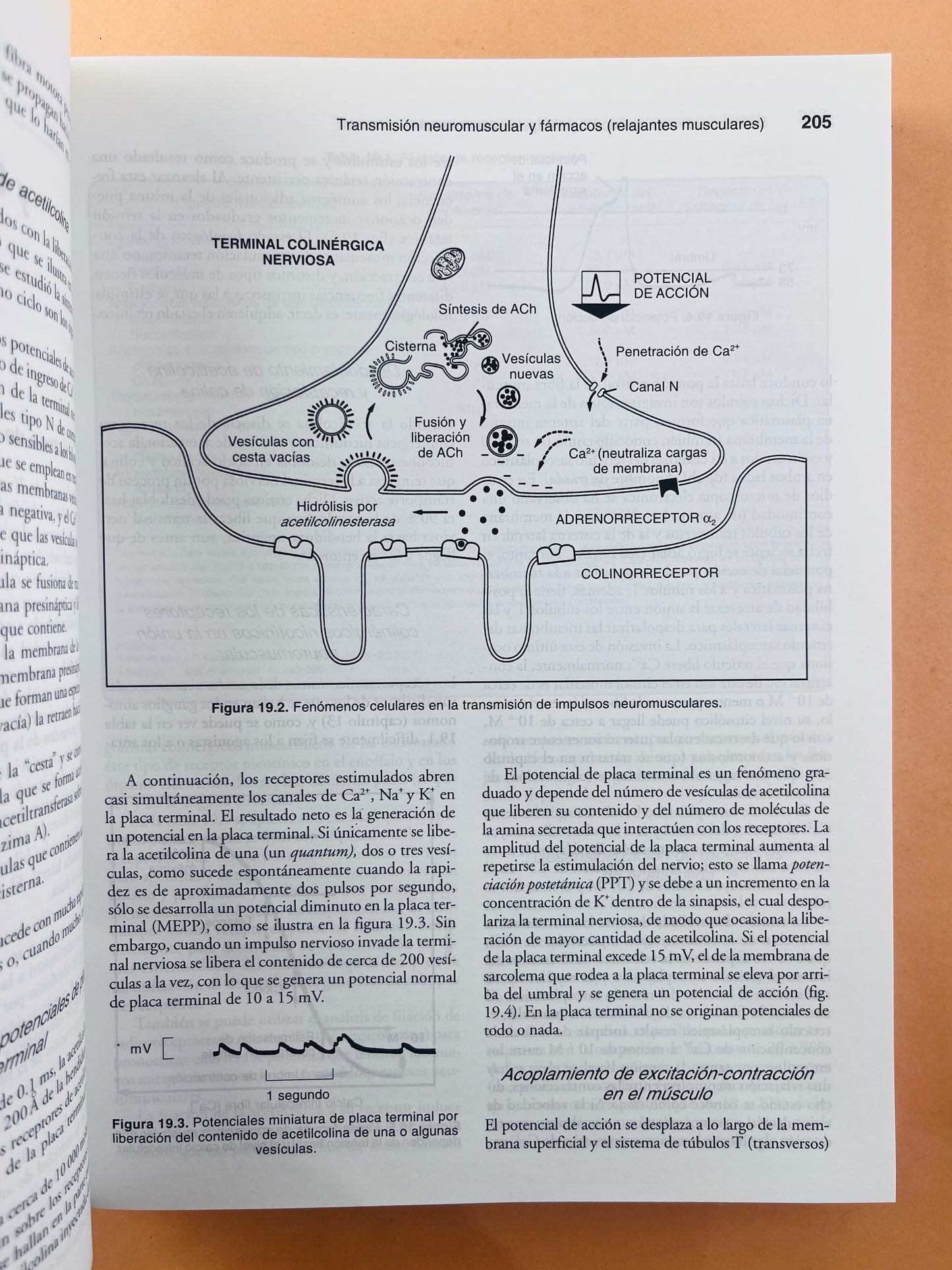 Principios de Farmacología médica sexta edición