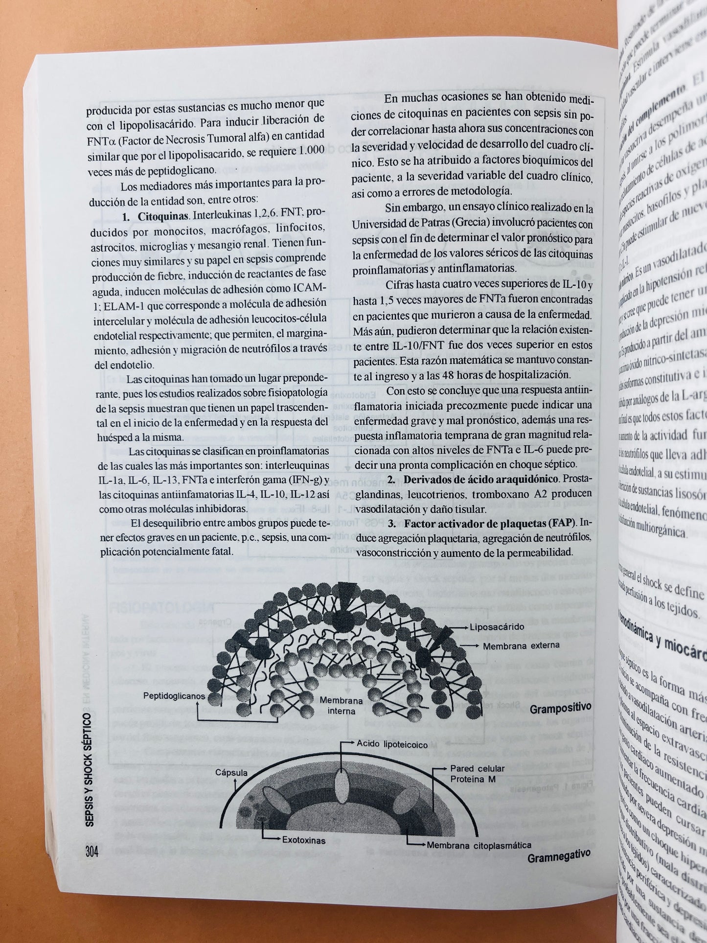 Emergencias y urgencias en medicina interna tercera edicion