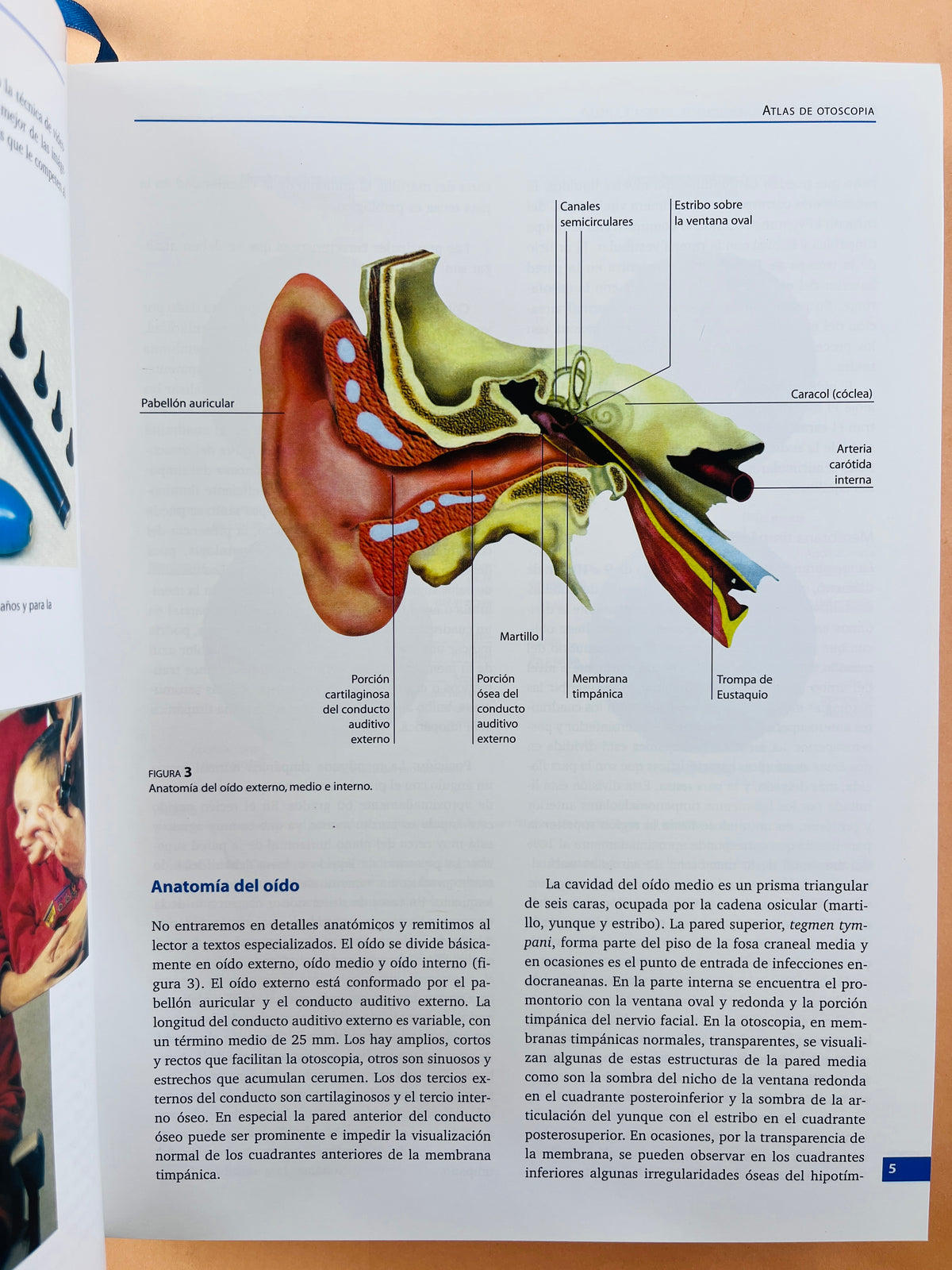 Manual de otorrinolaringología,cabeza y cuello by Augusto Peñaranda Sanjuan Juan Manuel García Gómez Martín Pinzón Navarro