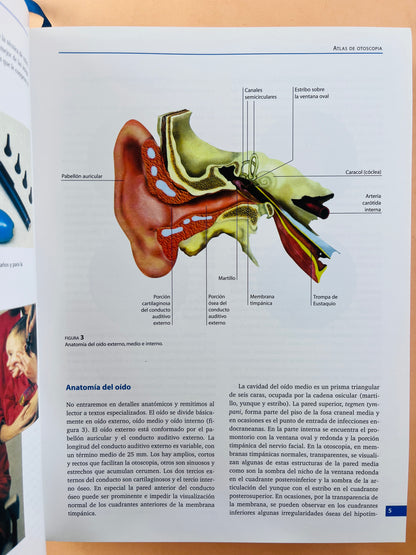 Manual de otorrinolaringología,cabeza y cuello