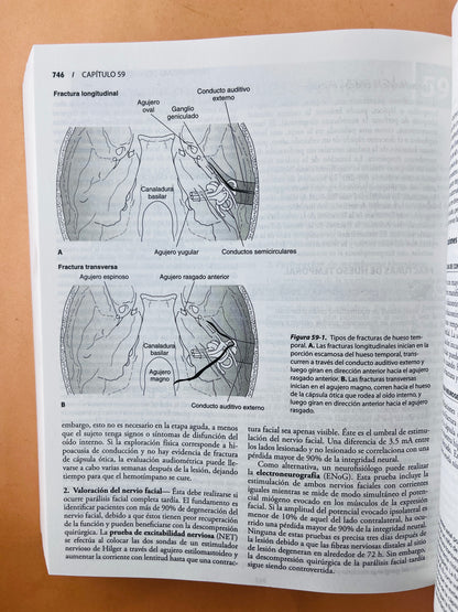 Diagnóstico y tratamiento en Otorrinolaringología cirugía de cabeza y cuello segunda edición