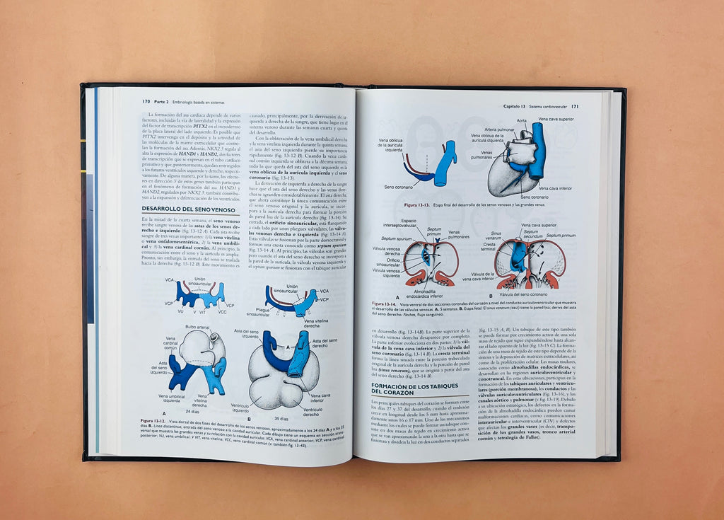 Langman Embriologia Médica 12a edición by T.W. Sadler