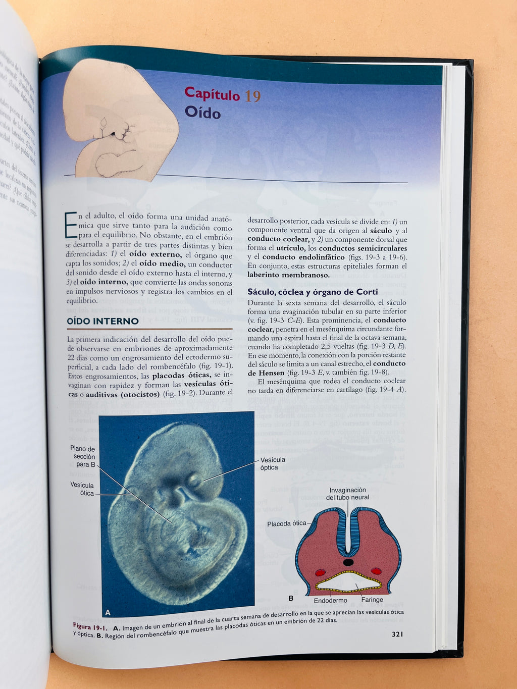 Langman Embriologia Médica 12a edición by T.W. Sadler