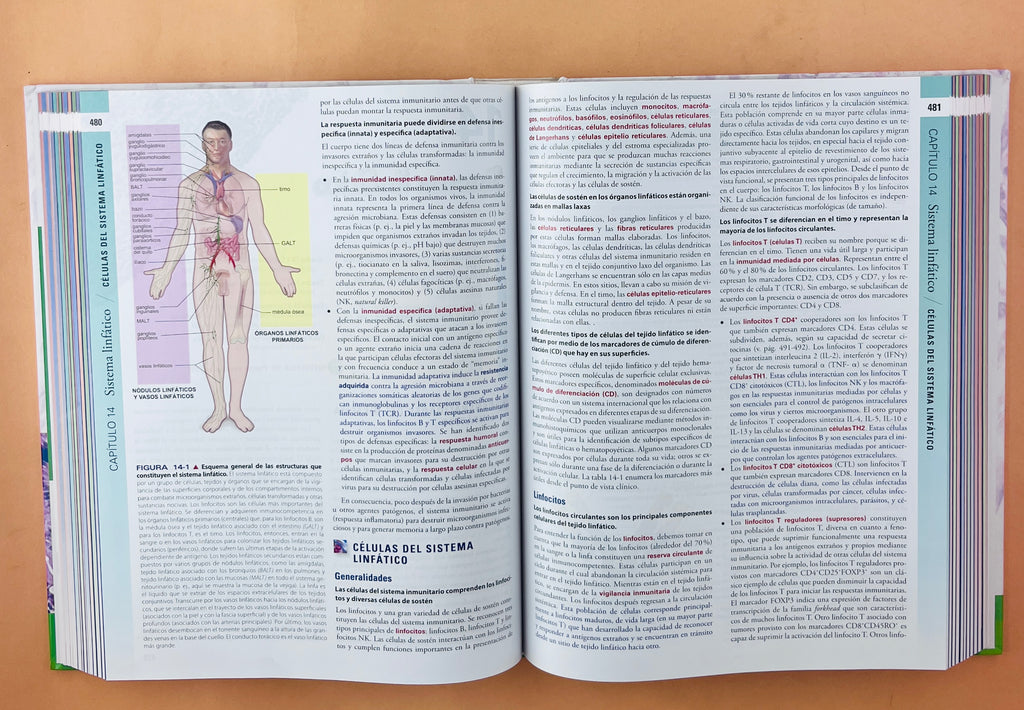Histología texto y atlas corrleción con biología molecular y celular séptima edición by Michael H. Ross Wojciech Pawlina