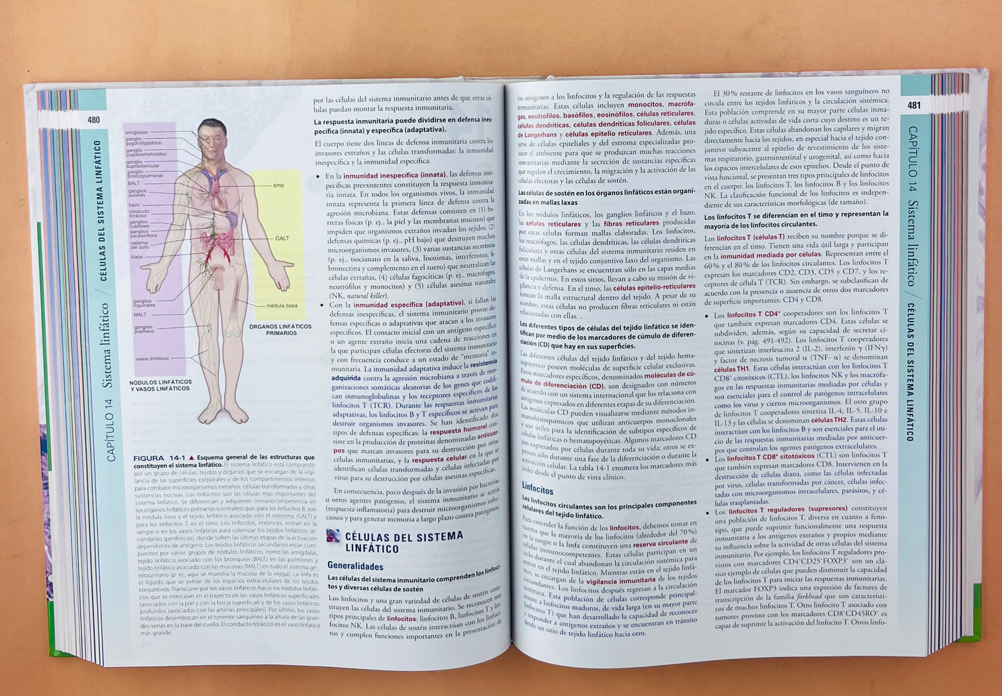 Histología texto y atlas corrleción con biología molecular y celular séptima edición