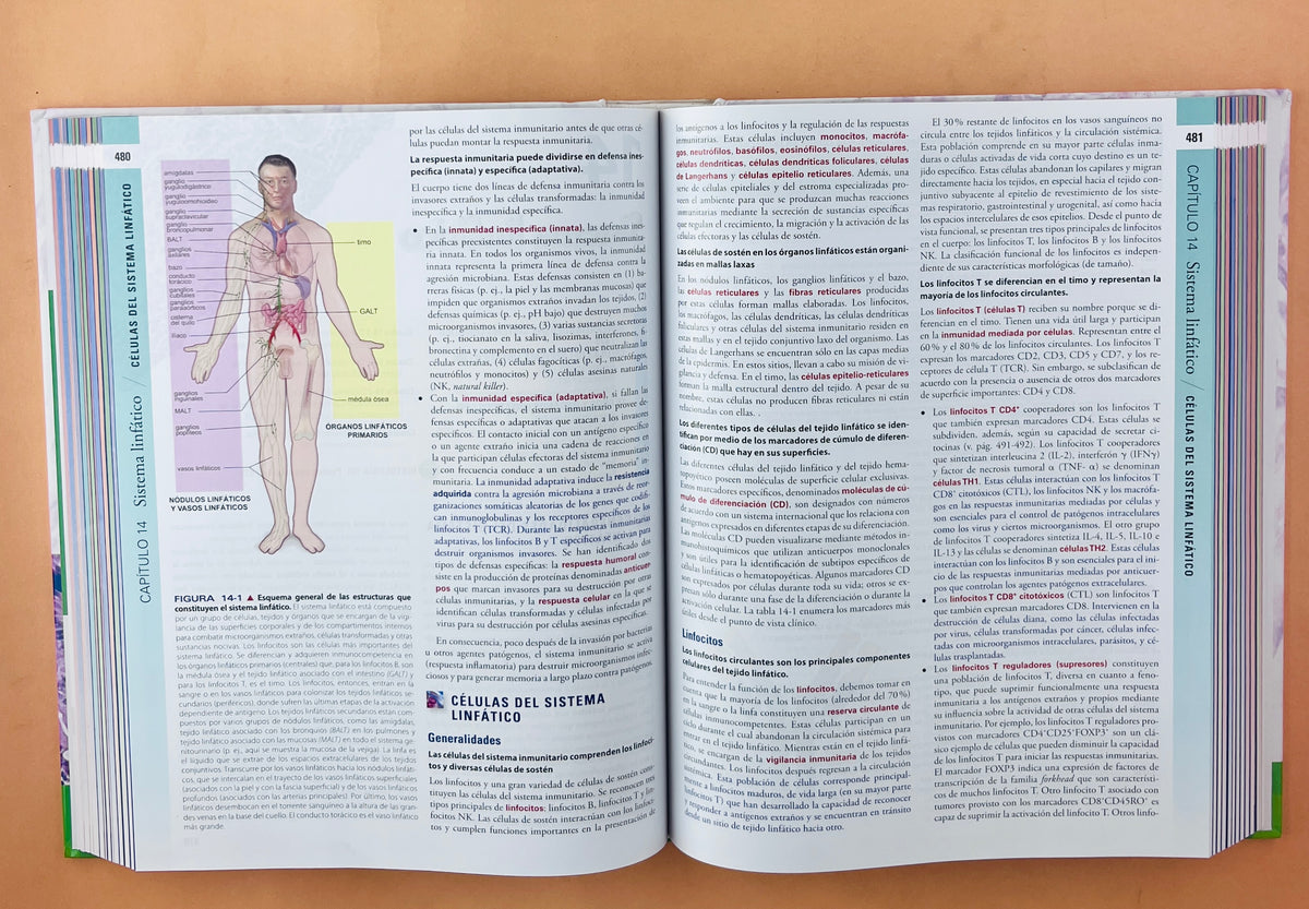 Histología texto y atlas corrleción con biología molecular y celular séptima edición by Michael H. Ross Wojciech Pawlina