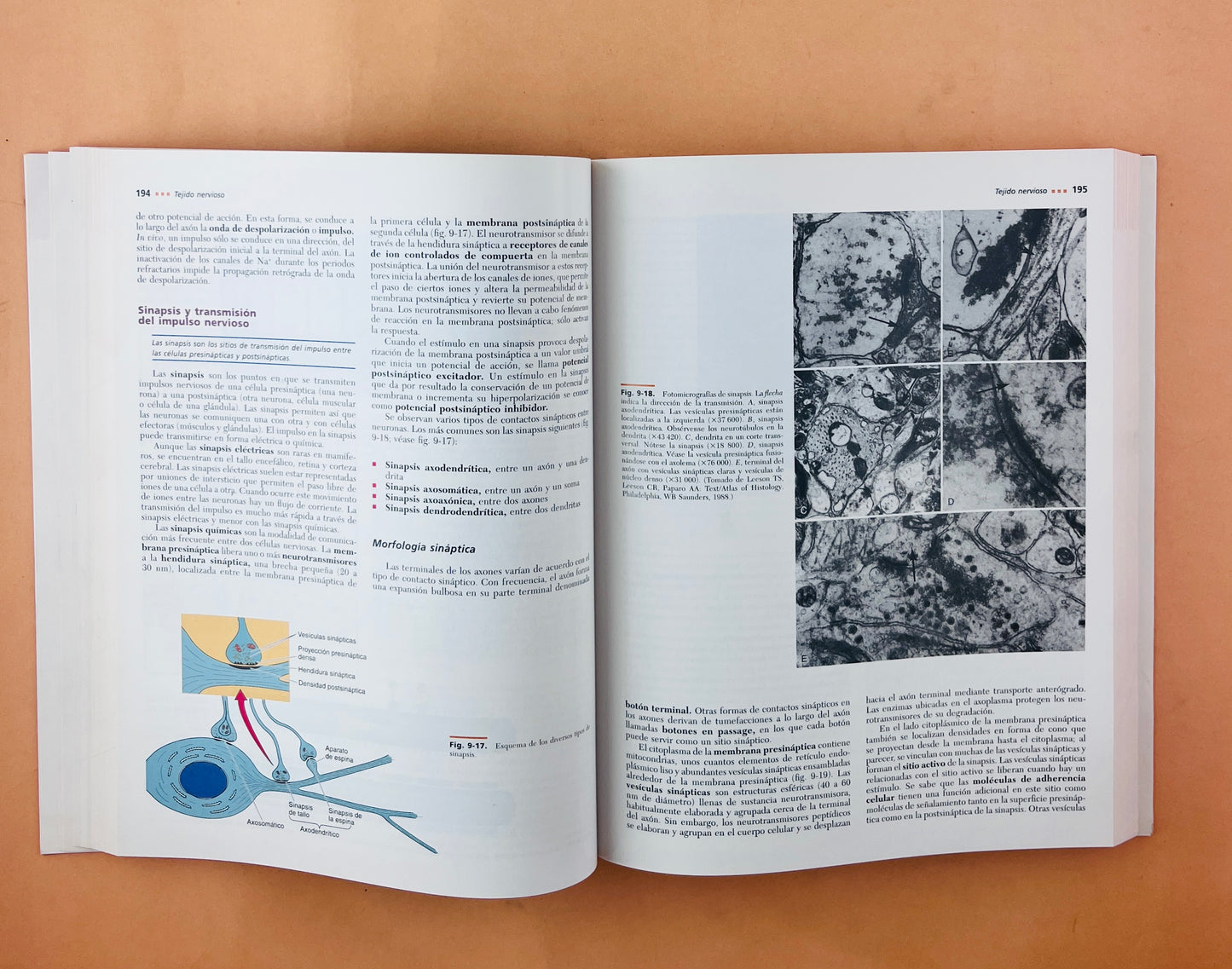 Texto atlas de histología segunda edición