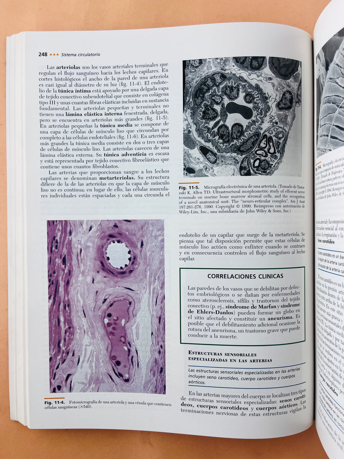 Texto atlas de histología segunda edición by Leslie P. Gartner James L. Hiatt