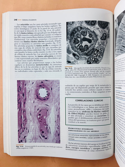 Texto atlas de histología segunda edición