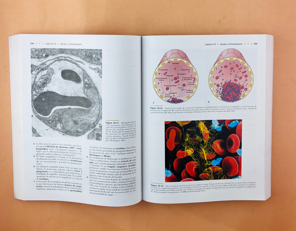 Texto atlas de Histología tercera edición by Leslie P. Gartner James L. Hiatt