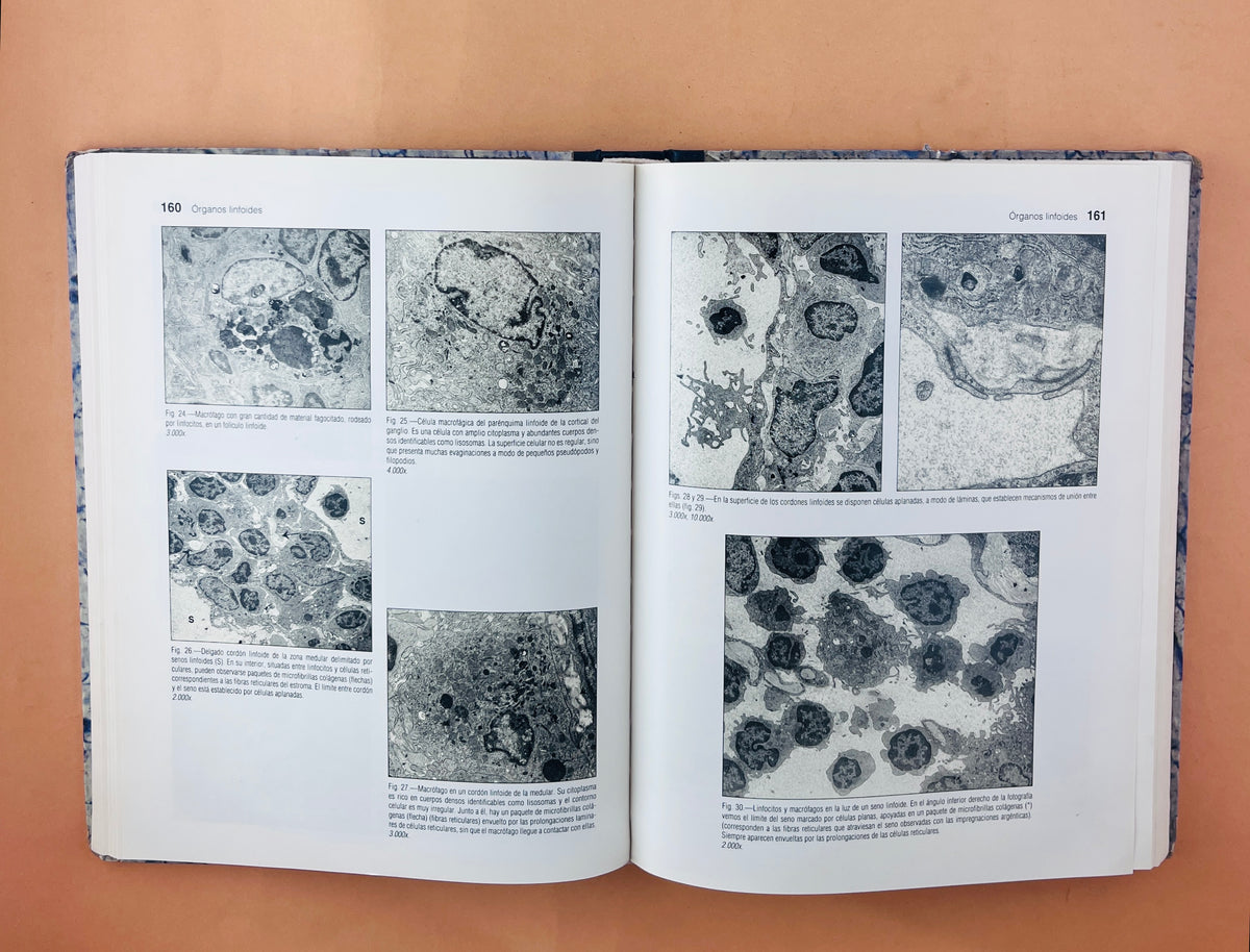 Atlas de Histología y Organografía Microssópica by Jesús Boya Vegue