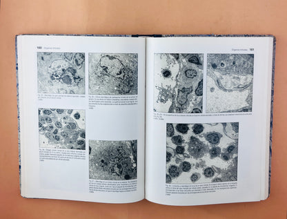 Atlas de Histología y Organografía Microssópica