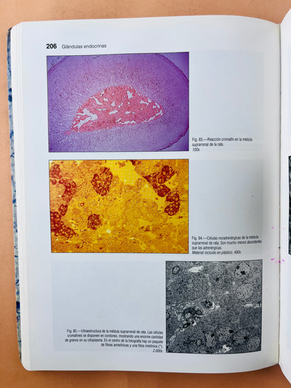 Atlas de Histología y Organografía Microssópica