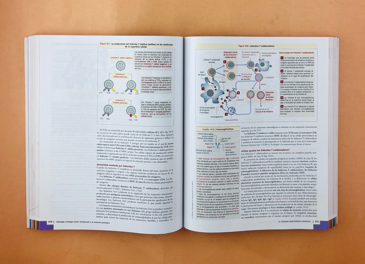 Histología y biología celular introducción a la anatomía patológica tercera edición by Abraham L. Kierszenbaum Laura L. Tres