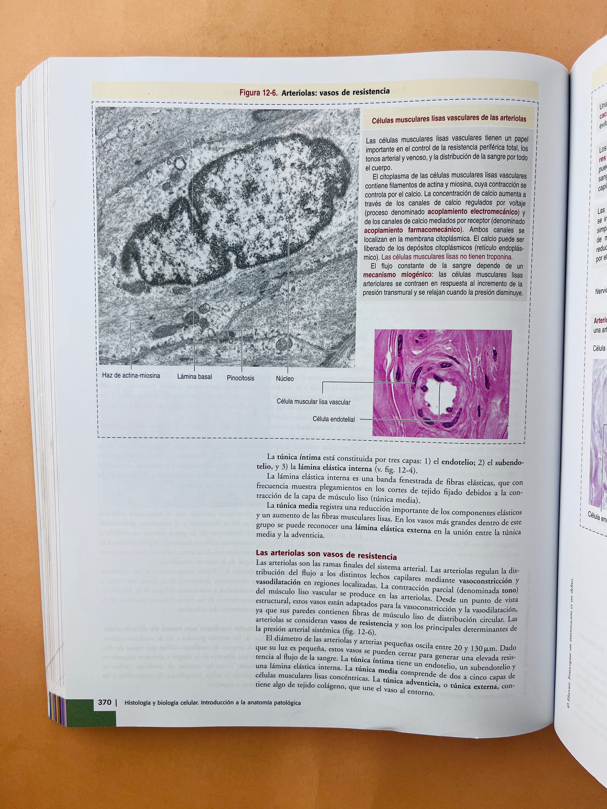 Histología y biología celular introducción a la anatomía patológica tercera edición by Abraham L. Kierszenbaum Laura L. Tres