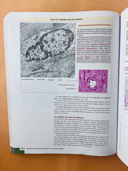 Histología y biología celular introducción a la anatomía patológica tercera edición
